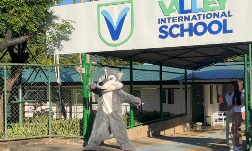 wolf valley lobo